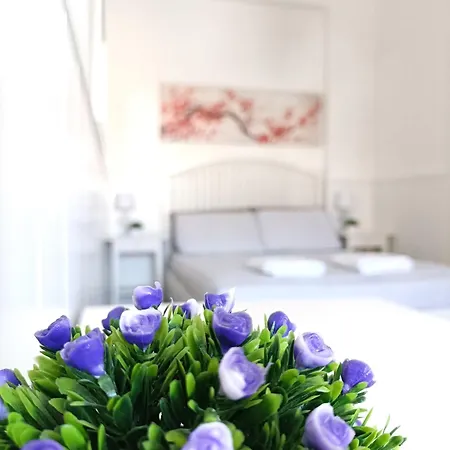 Piazza Hortis Studio