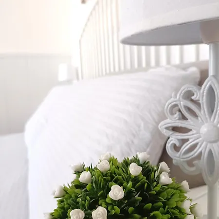 Piazza Hortis Studio Daire Trieste