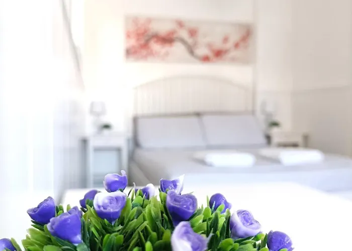 Piazza Hortis Studio